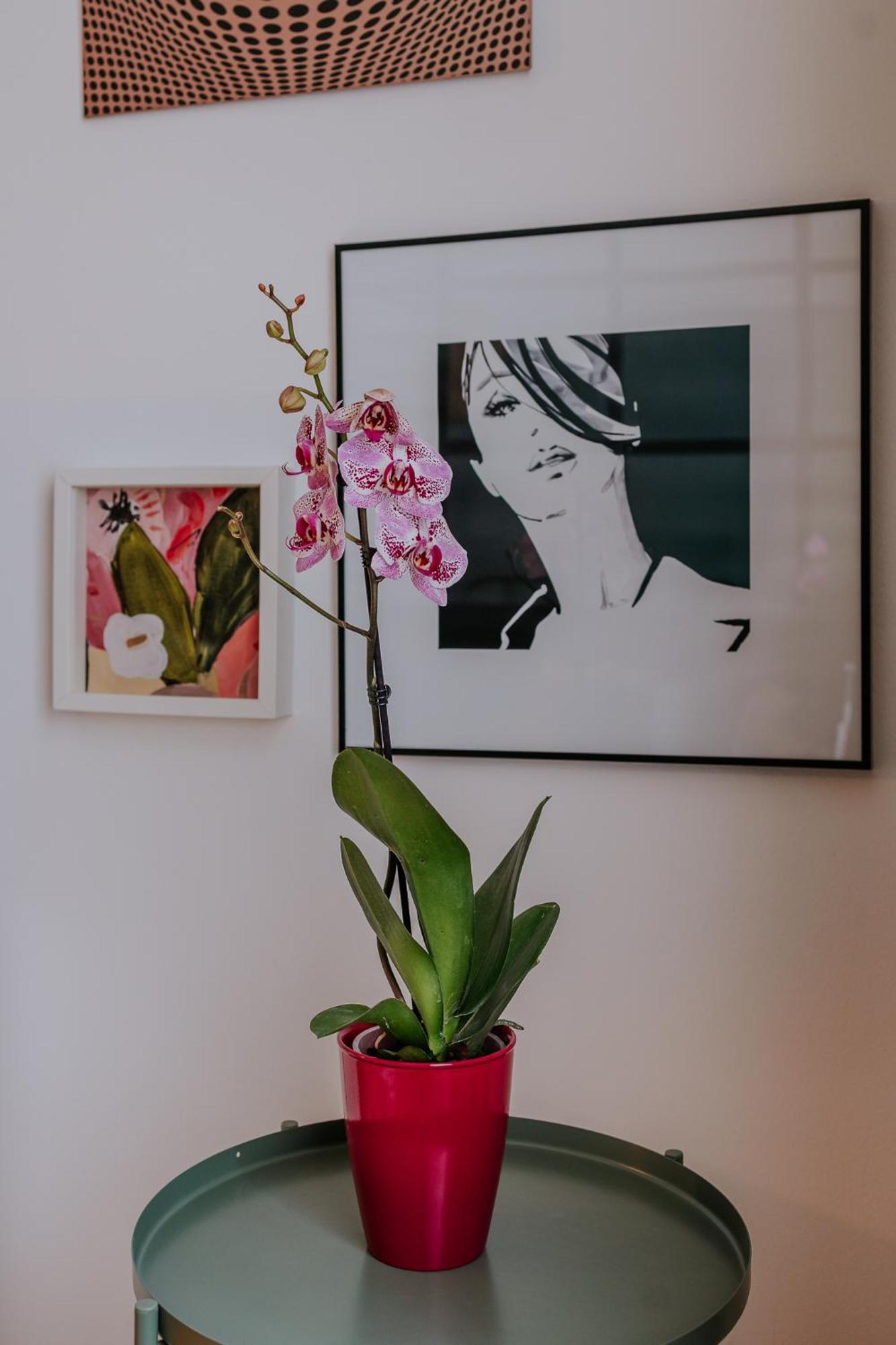 Endless Chanson Apartma Zagreb